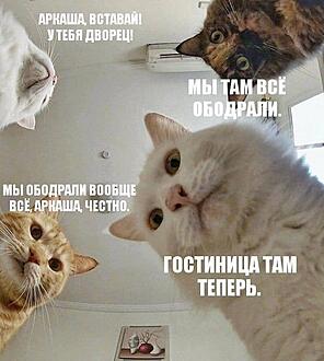 Бредзона 31.01.21