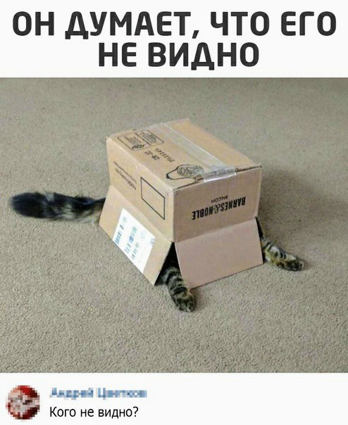 Картинки и мемы для настроения 008