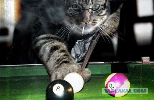 Я пожалуй тут посижу