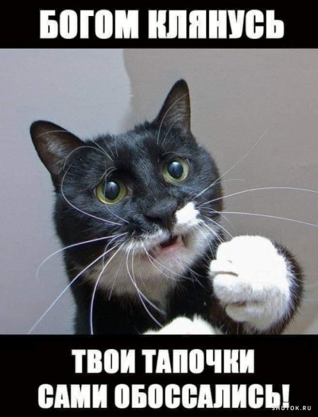 Так себе картинки 20.06.21