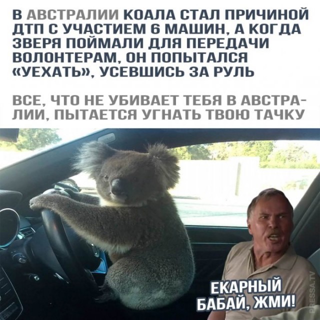 Картинки и мемы для настроения 12.08.2021