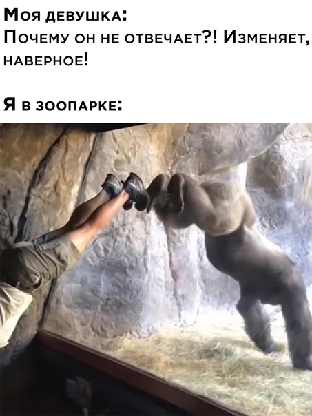 Картинки и мемы для настроения 11.11.2021