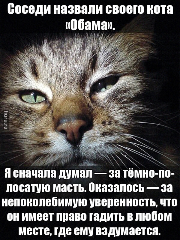 Так себе картинки 27.02.22