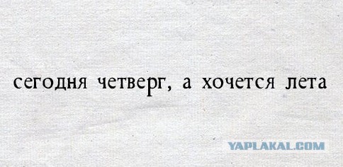 Немного пошлых картинок с надписями