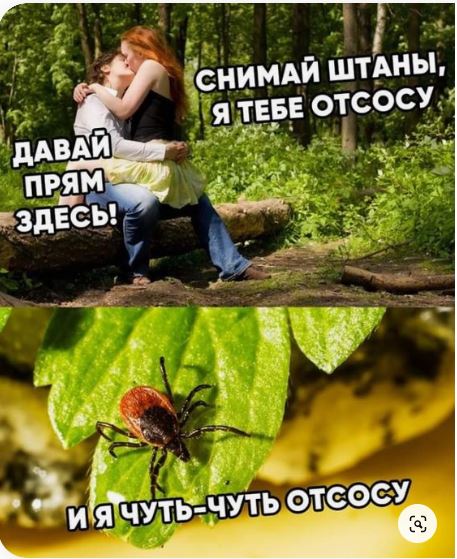 Подборка черного юмора. 18+