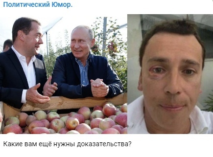 Галкину прилетело яблоком в глаз из зала