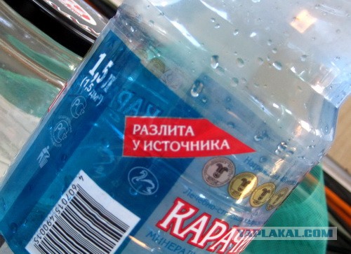 Перлы - 24.12.22
