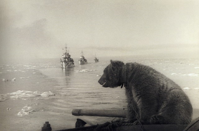 Фотографии из прошлого нашей страны - 8