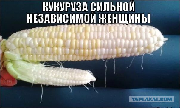 Я тёща. Проблемы с зятем. Дайте совет