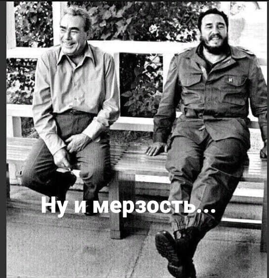 Московский бордель