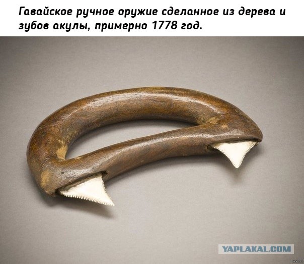 Небольшая подборка истрических фото (27.11)