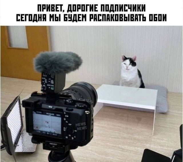 Веселые картинки