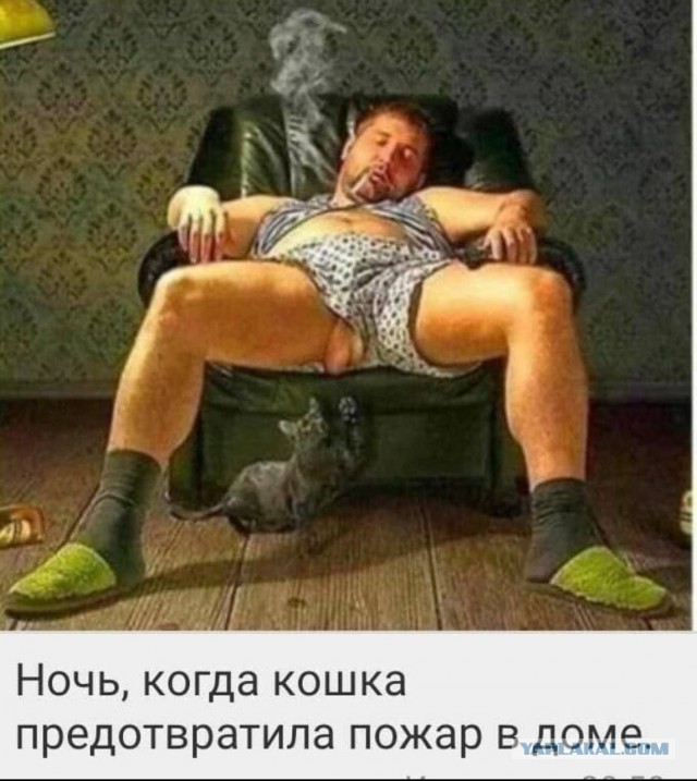 Картины известных и не очень художников