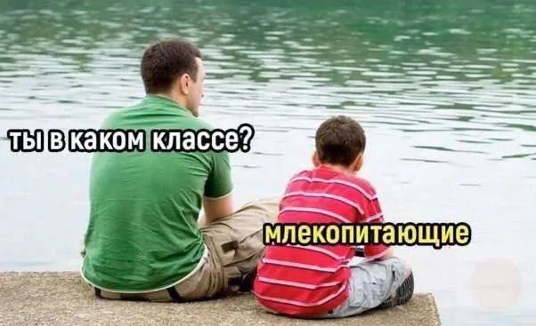 Завалялось тут случайно немного забавных картинок