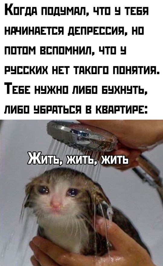 Весёлый полтишок 10.12.24