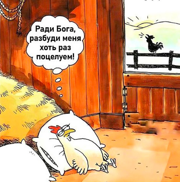Юмор в картинках за пол дня и клуб приемных детей