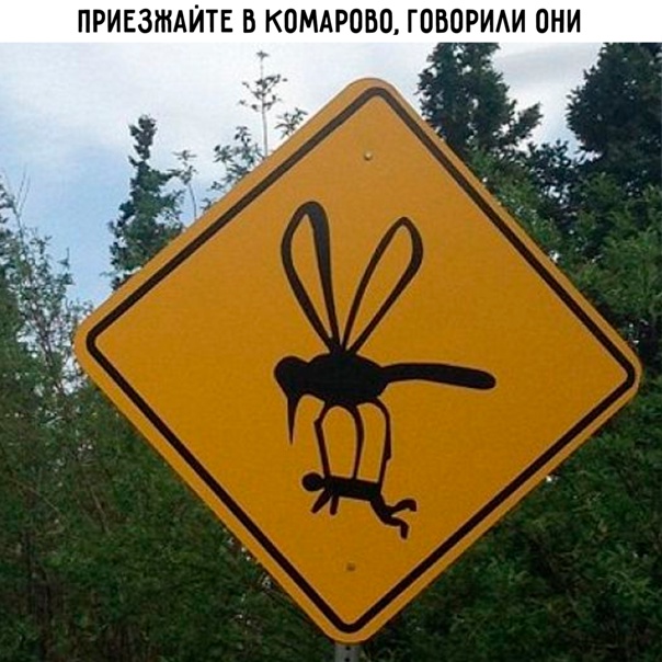 Картинки для деградации 9 (разной степени свежести)