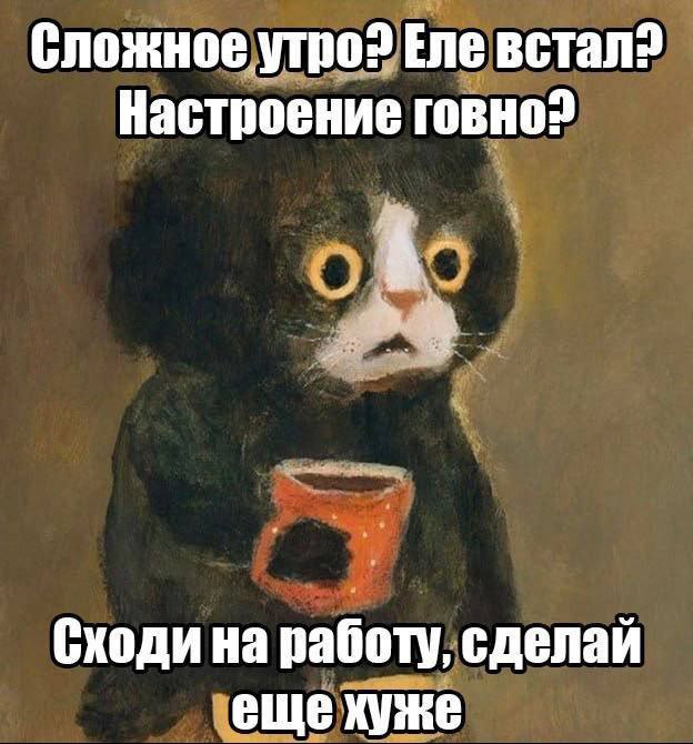 Картинки для деградации 43 (разной степени свежести)