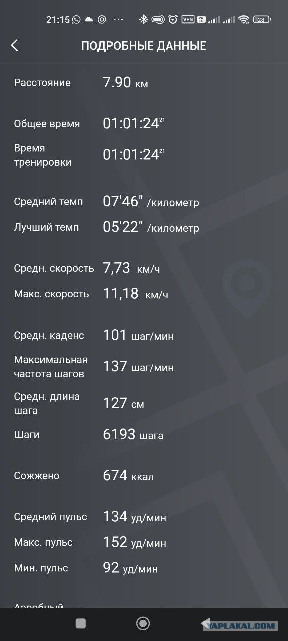 Я охудеваю от такой жизни…