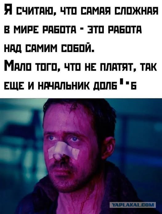Картиночки, баянчики 08 декабря
