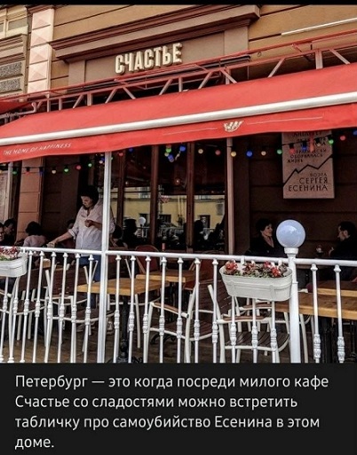 Мой кот