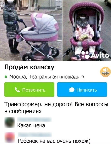 Прикольные и просто красивые картинки 06.02.2026