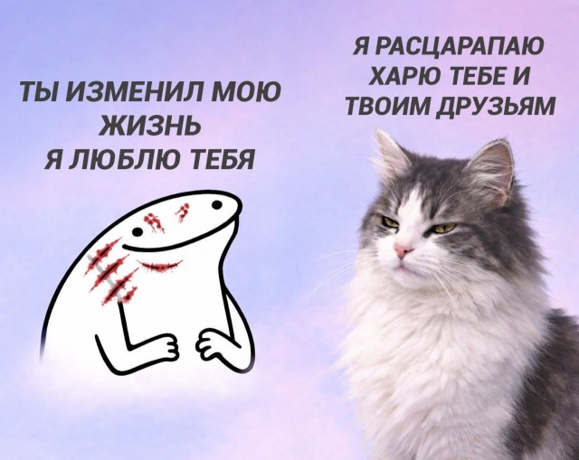 Подборка картинок-баянов с котиками и про котиков. Выпуск 30.