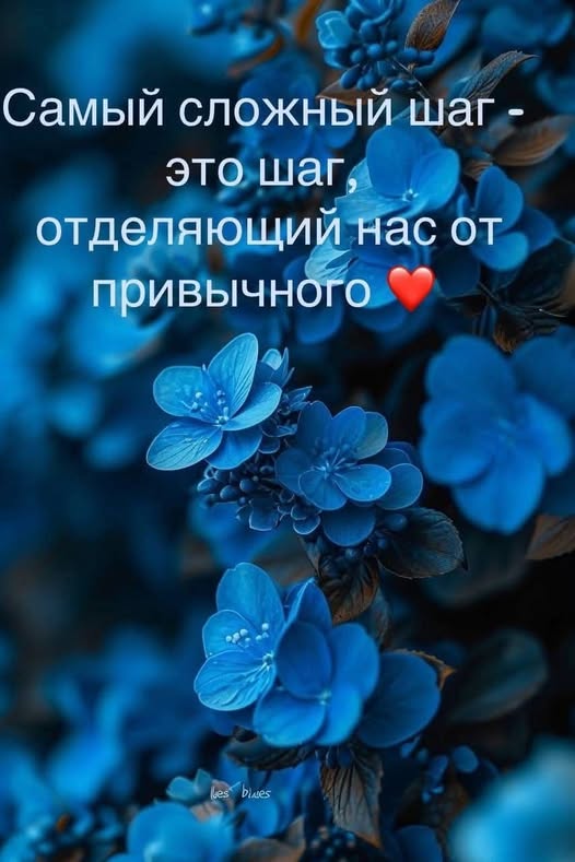 Забавные картинки и шутки из этих ваших интернетов