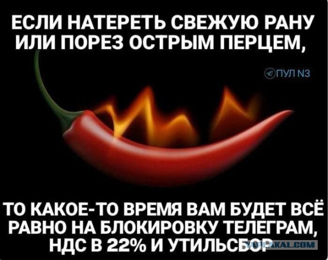 Картиночки, баянчики 21 февраля