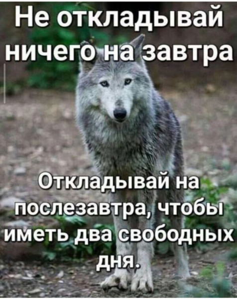 Среды картинки