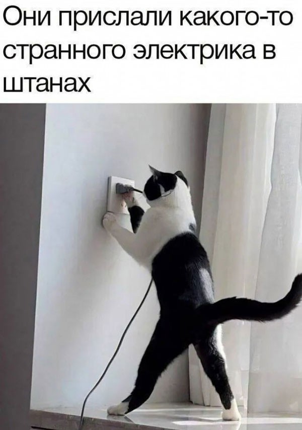 Картиночки, баянчики 17 апреля
