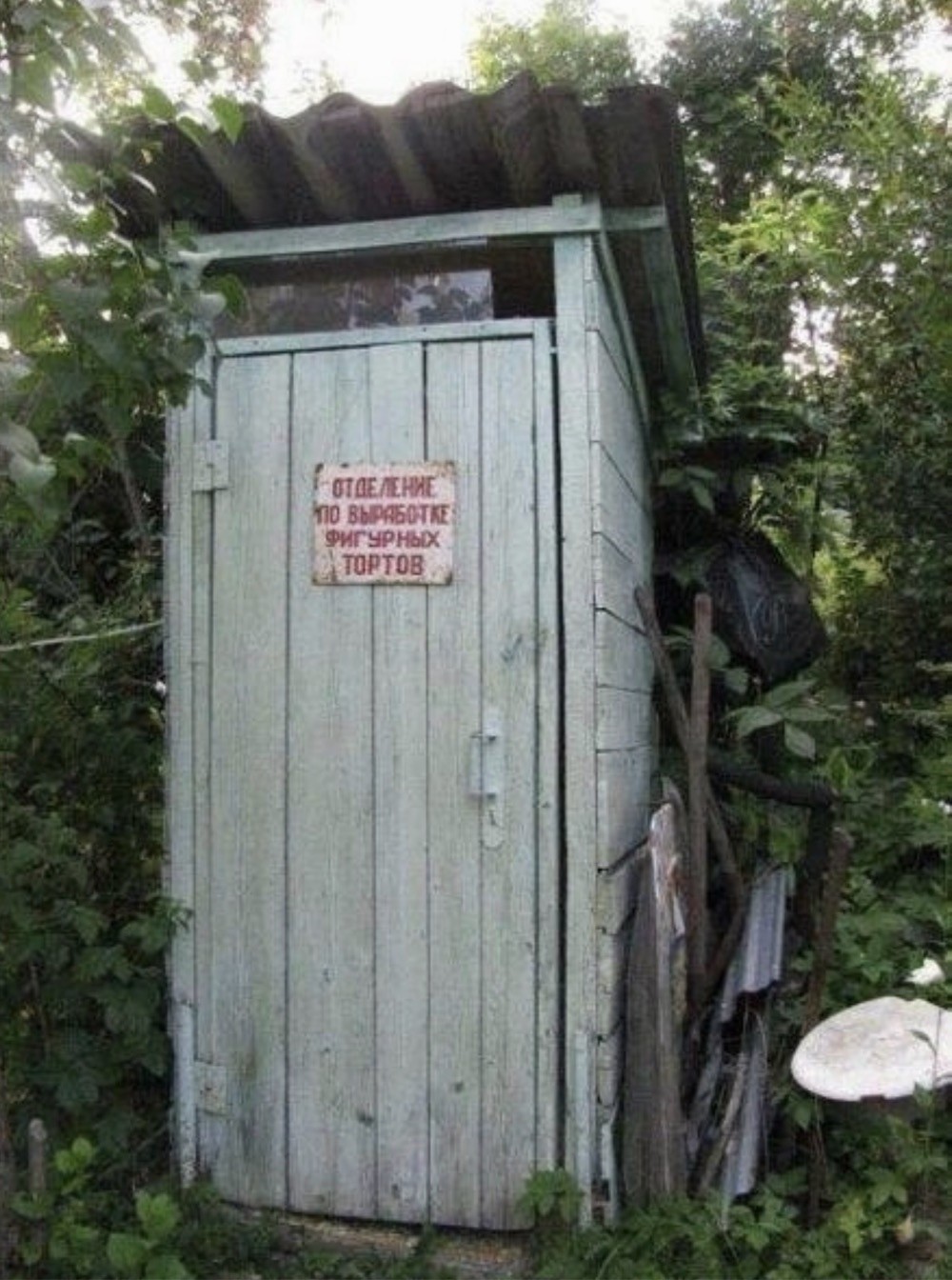 20957521.jpg