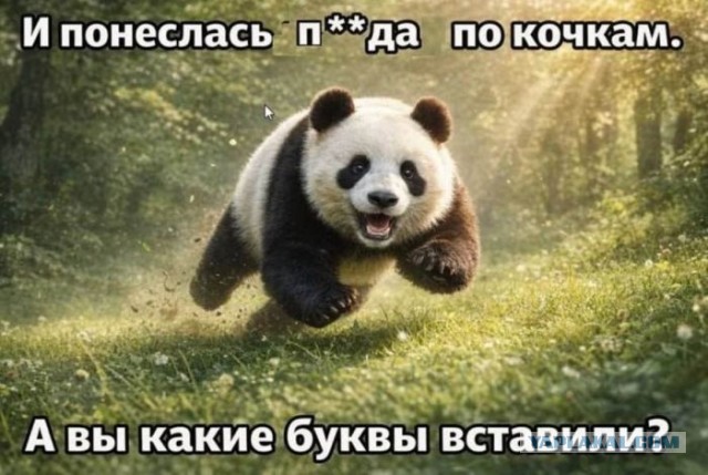 Картинки для деградации 194 (разной степени свежести)