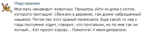 Смешные комментарии из социальных сетей