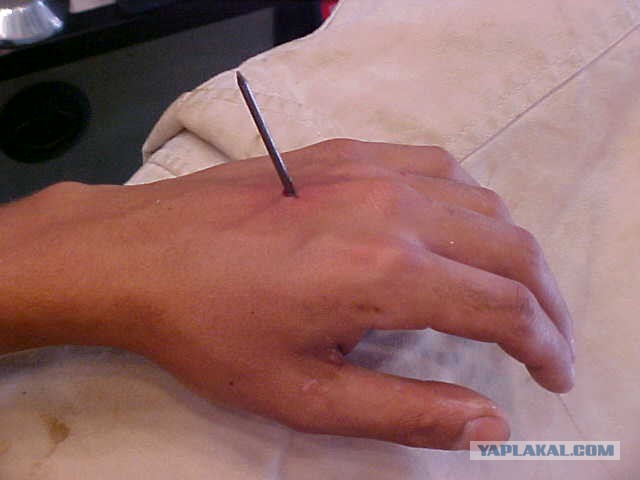 Похищения активистов Беркутом...