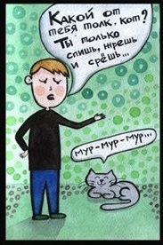 Польза от котов