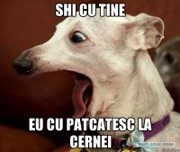 Выкрутился