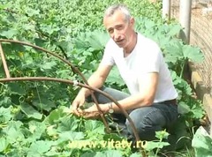 У него есть деньги и кожаное кресло