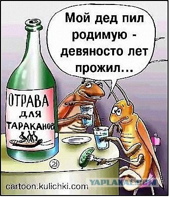 Трудовые будни сервиса.