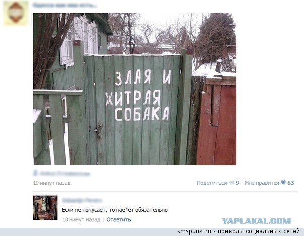 Смешные комментарии из социальных сетей 06.04.14
