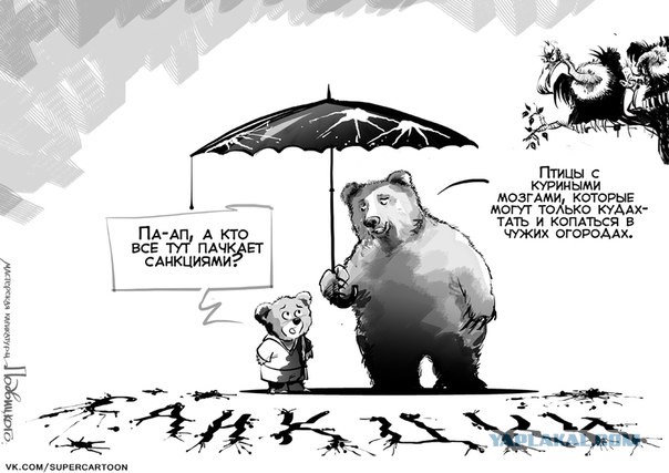 Кризис в Украине глазами карикатуристов