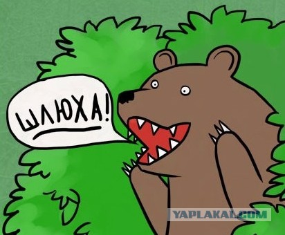 Сколько там живёт женская любовь?