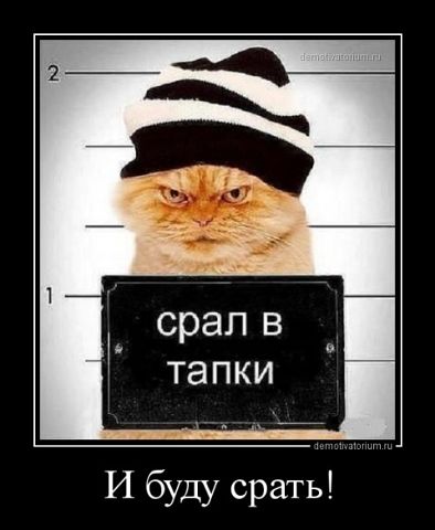 Демотиваторы