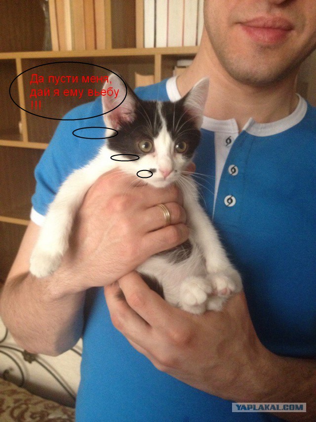 С улицы взят