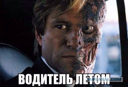 Подборка автоприколов.