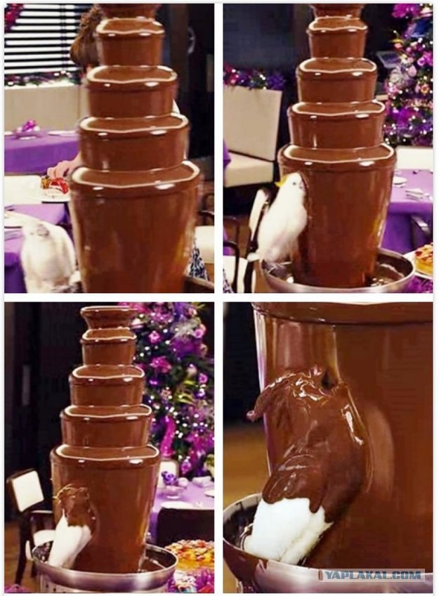 Эклеры