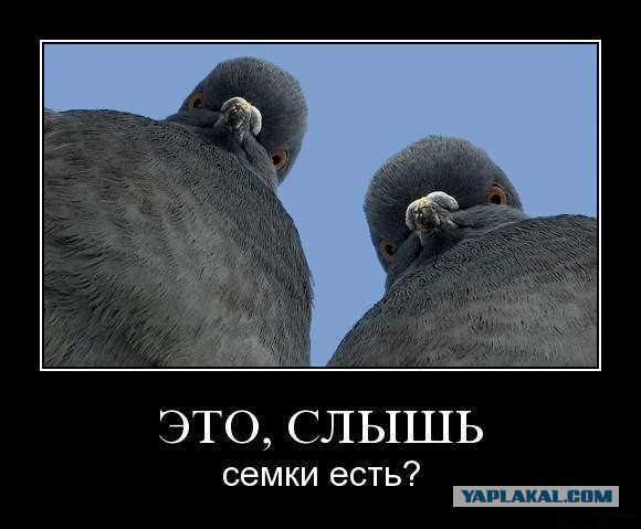 Картинки набрались разные