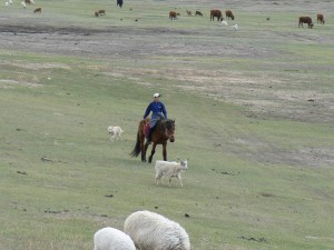 Приключения американцев в России/Монголии/Китае. Ч
