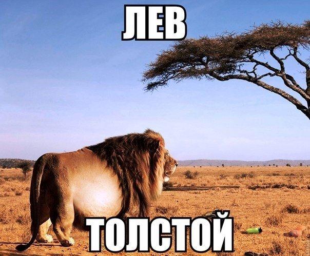 А давайте улыбнёмся В Новом Году