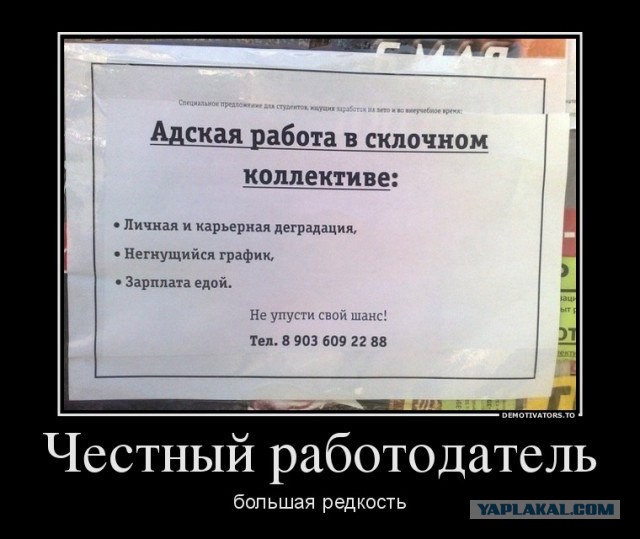Смешные картинки